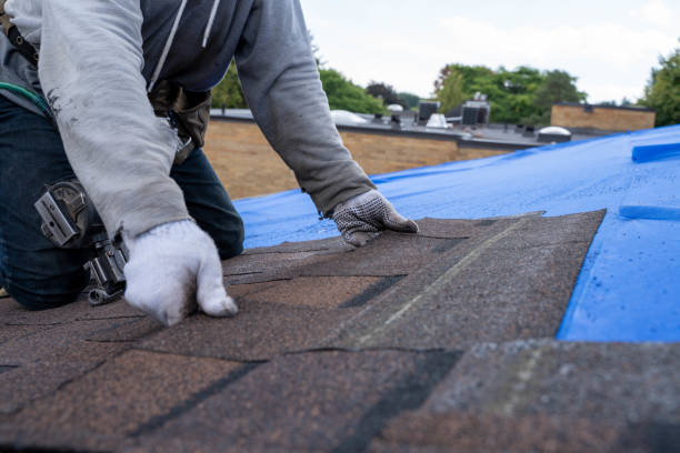 Best Roof Moss and Algae Removal  in Ritzville, WA